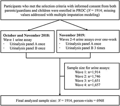 Interaction of Hydration Status and Physical Activity Level on Early Renal Damage in Children: A Longitudinal Study